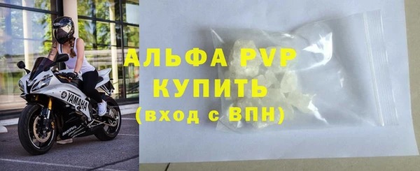 МДПВ Каменка