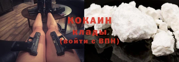 МДПВ Каменка