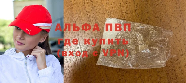 сатива Карпинск