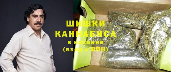 PSILOCYBIN Каменск-Шахтинский