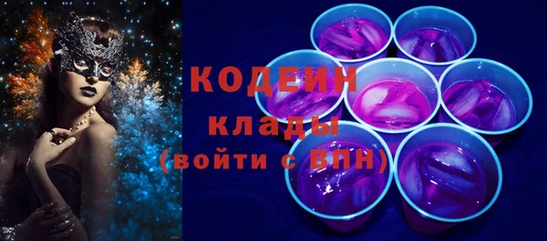 МДПВ Каменка