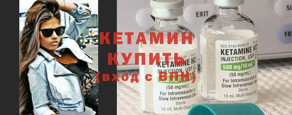 сатива Карпинск